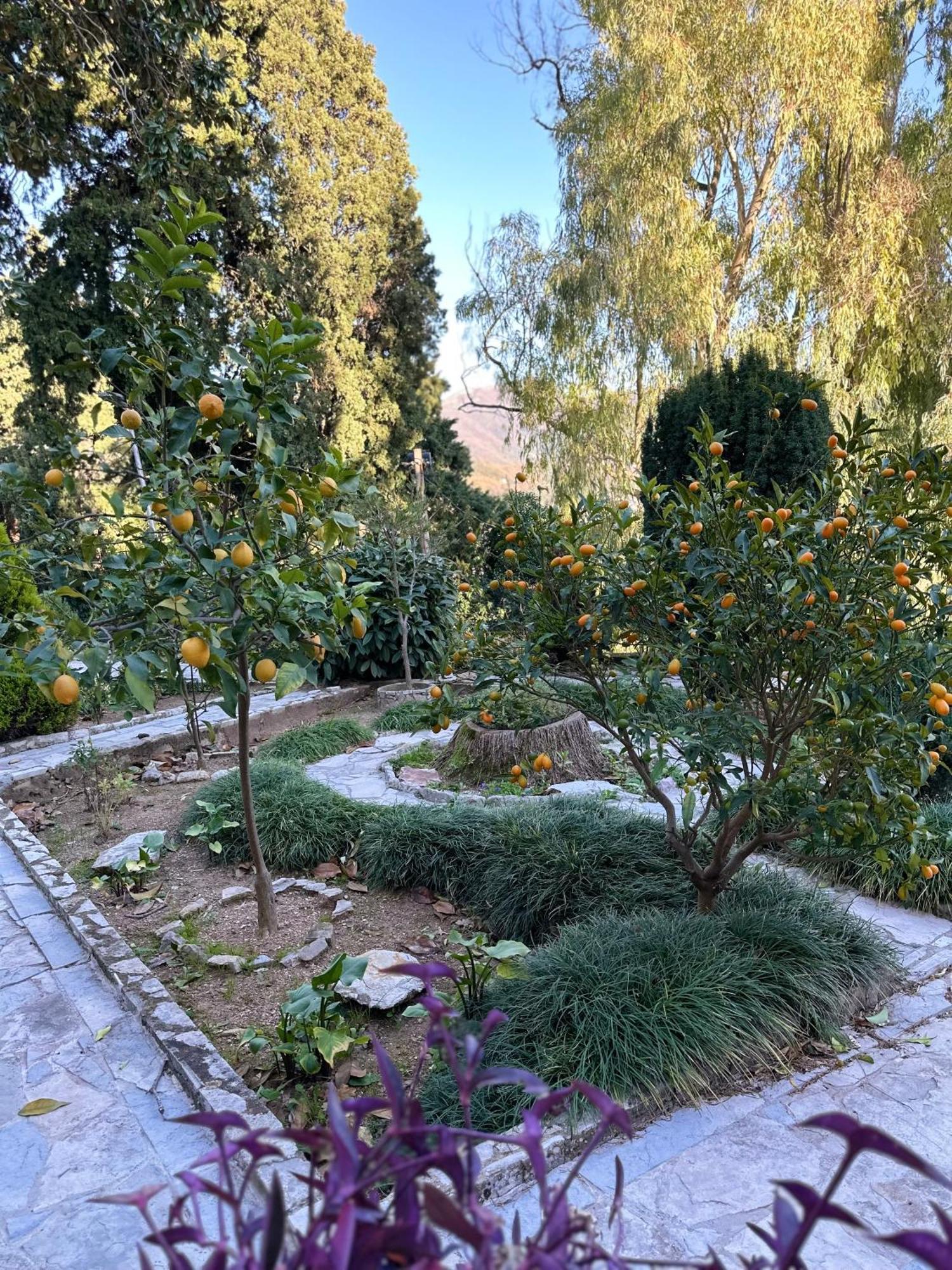Studio Apartment Palma Herceg Novi Buitenkant foto